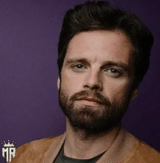 🎖 Sebastian Stan Schauspieler, Porträt, Mann, Promi, Bart telegram sticker