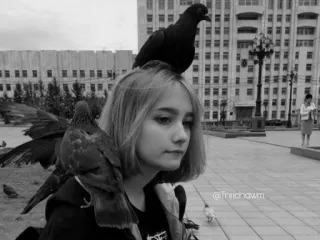 🗞 woman, pigeons, city, outdoors, birds, urban, grayscale telegram sticker