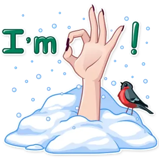 👌 I'm OK! ok, gesto de mão, inverno, pássaro, neve telegram sticker