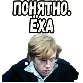 👌 ПОНЯТНО. ЁХА telegram sticker