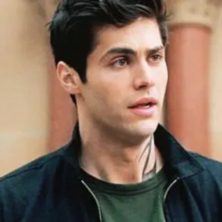 📚 Alec Lightwood Shadowhunters Alec Lightwood, Shadowhunters, Matthew Daddario, character, tv show telegram sticker