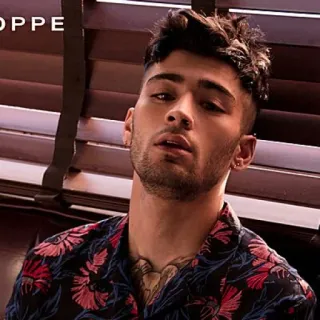 🔦 Zayn Malik zayn malik, zanger, beroemdheid, one direction telegram sticker