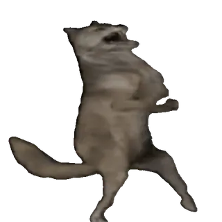 🤩 wolf, animal, meme, funny, standing whatsapp sticker