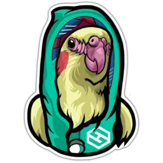 ✨ 새, 왕관앵무, 앵무새, 후드티, 스티커, 귀여운, 동물, 애완동물 telegram sticker