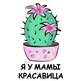 eto kaktus telegram stickers