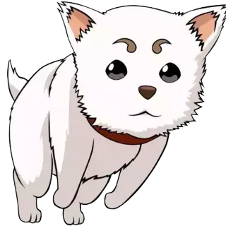 🐩 cachorro, filhote, fofo, animal, branco whatsapp sticker