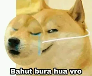 🌚 Bahut bura hua vro Meme, Doge, Pies, Smutny, Płaczący, Meme internetowy telegram sticker