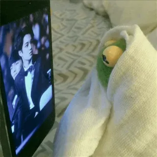 🐸 Kermit Kermit o Sapo, toalha, telefone, assistindo, meme whatsapp sticker