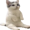 Котики • @Nedaibokbot telegram emojis 👀