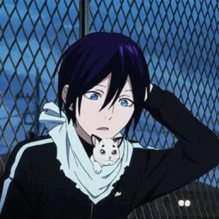 💎 Yato Noragami Anime, Charakter, Noragami, Yato, Katze telegram sticker