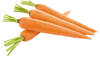 🥕 zanahoria, verdura, naranja, saludable, comida telegram sticker