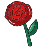 🌹