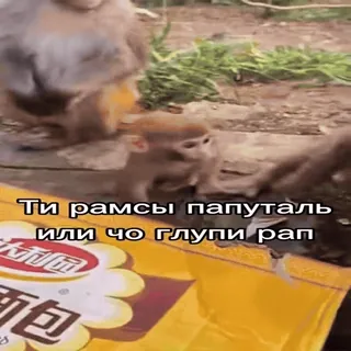 😡 Ти рамсы папутал или чо глупи рап telegram sticker