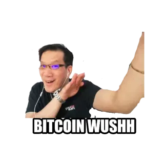 🥳 BITCOIN WUSHH bitcoin, cryptocurrency, finance, investment, meme telegram sticker