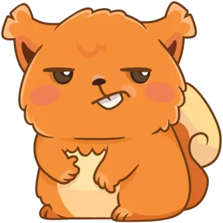 😤 กระรอก, สัตว์, การ์ตูน, น่ารัก, ตลก telegram sticker