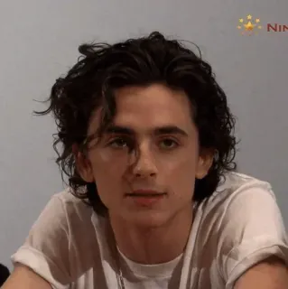 📯 Timothée Chalamet acteur, célébrité, portrait, homme, personne telegram sticker