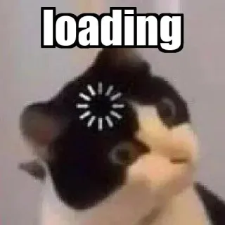 🤔 loading 고양이, 로딩, 웃긴, 밈, 인터넷 telegram sticker