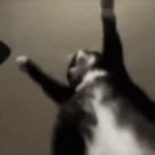 🔈