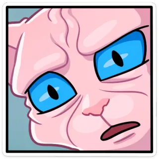 😳 кот, злой, сфинкс, мем, смешной, мультфильм, выражение telegram sticker