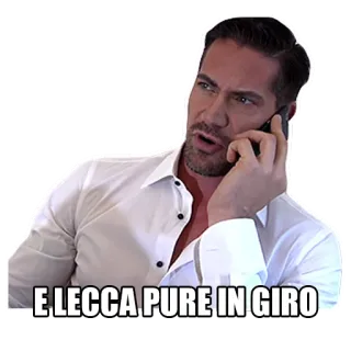 😛 E LECCA PURE IN GIRO whatsapp sticker