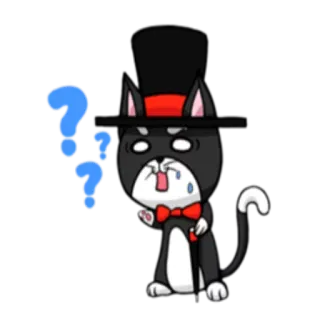 ❓ gato, cartola, gravata borboleta, pontos de interrogação, confuso, desenho animado telegram sticker
