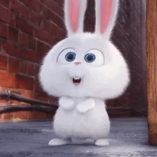 🍓 Snowball The Secret Life of Pets กระต่าย, บันนี่, น่ารัก, อนิเมชั่น, หนัง, สัตว์เลี้ยง telegram sticker