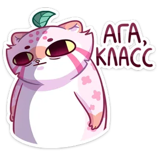 😔 АГА, КЛАСС kot, zwierzę, słodki, brzoskwinia, kreskówka whatsapp sticker