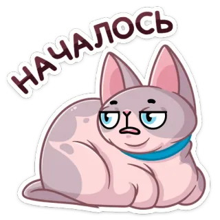 😐 началось cat, sticker, russian, cute, animal telegram sticker