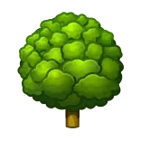 🌳