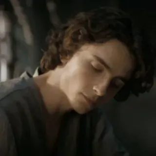 😐 Timothée Chalamet timothée chalamet, actor, portrait, man telegram sticker