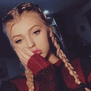😕 retrato, mujer, rubia, trenzas, selfie, interior, chica, cara telegram sticker
