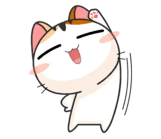 🙋 chat, dessin animé, mignon, autocollant, animal, drôle, chaton whatsapp sticker