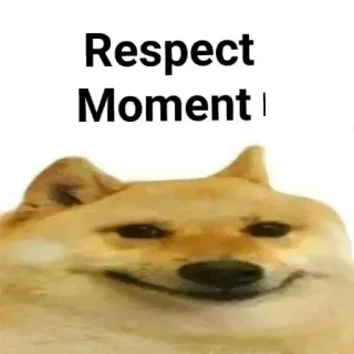 ✌️ Doge Respect Moment doge, respect, moment, shiba inu, meme, dog, funny telegram sticker