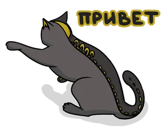 👋 ПРИВЕТ 猫, 俄语, 问候, 你好 telegram sticker
