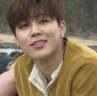 ✨ Jimin kpop, jimin, bts, idola, penyanyi, selebriti whatsapp sticker