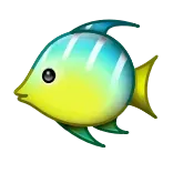 🐠