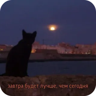 😔 завтра будет лучше, чем сегодня 猫, 月, 夜, 都市, 希望, 未来, ロシア telegram sticker
