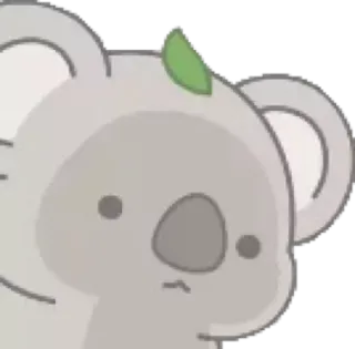 🐨 koala, animal, cute, cartoon, sticker, leaf telegram sticker
