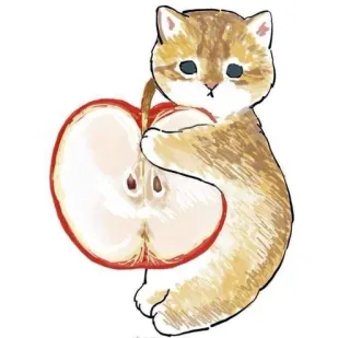 💗 kot, kociak, jabłko, owoc, słodki, zwierzę, zwierzak telegram sticker