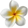🌺