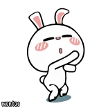 🐰 wontor conejo, lindo, dibujo animado, pegatina, conejo blanco, animal telegram sticker