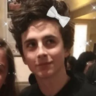 ☺️ Timothée Chalamet Тимоти Шаламе, актер, знаменитость, белый галстук-бабочка, портрет whatsapp sticker