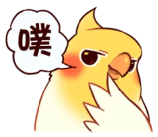 😁 噗 นก, นกแก้ว, น่ารัก, สัตว์, อีโมจิ telegram sticker