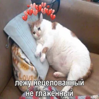 🥺 лежу нецелованный не глаженный kucing, sedih, patah hati, kesepian telegram sticker