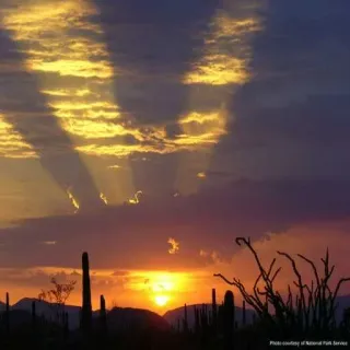 ☺️ Photo courtesy of National Park Service sunset, desert, saguaro, landscape, nature, national park, clouds, scenic telegram sticker
