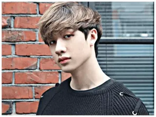 🎈 человек, портрет, мужчина, азиат, kpop, айдол, бан чан, stray kids telegram sticker