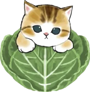 Котятки🔛 @cat_cute_kitty telegram stickers
