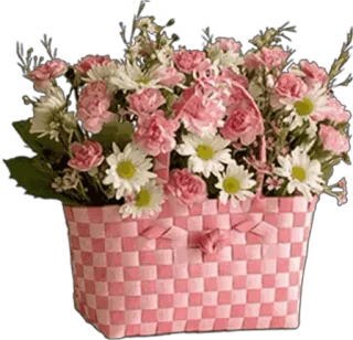 🌸 flowers, basket, floral, pink, white, daisies, carnations whatsapp sticker