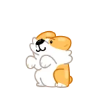 Corgi | @Premium_Emojis_Telegram telegram emojis 😘