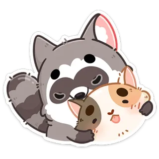 ☺️ szop pracz, kot, zwierzę, słodkie, kreskówka, naklejka, kawaii, zwierzę domowe whatsapp sticker